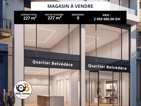 Magasin à vendre Belvédère